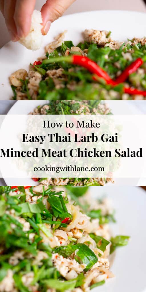 How to Make Authentic Chicken Larb Gai Recipe (Minced Meat Salad)