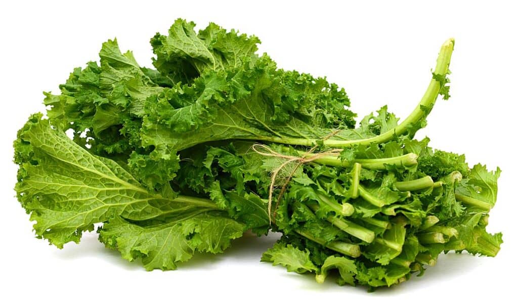 The Ultimate Guide to Vietnamese Herbs and Vegetables for Cooking